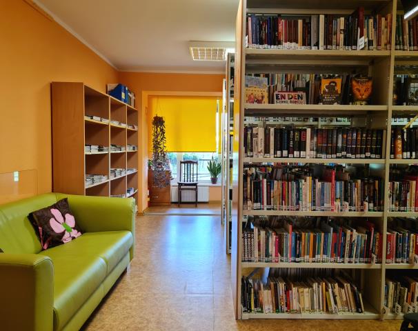 Padures pagasta bibliotēkas abonements